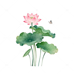 水墨荷花蝴蝶手绘插画
