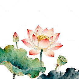水墨荷花中国画写意绘画素材