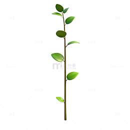 简约植物插画设计素材