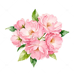 水彩花卉装饰画