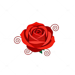 简约红玫瑰花插画设计素材