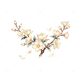 水彩花卉枝条插画