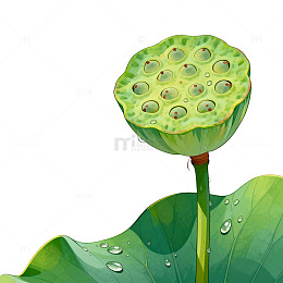 水墨风荷塘莲蓬插画