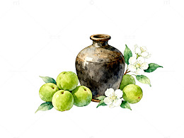 水彩静物青苹果与陶罐