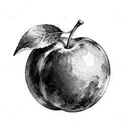 黑白苹果星空艺术插画