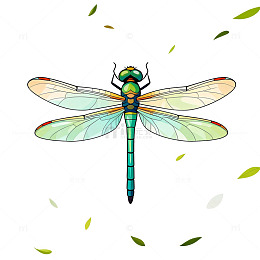 卡通蜻蜓插画设计元素