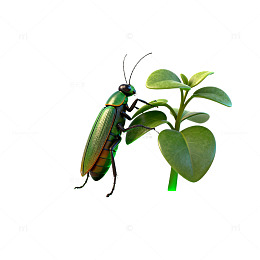 绿色甲虫与植物3D模型