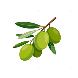 橄榄枝插画设计元素