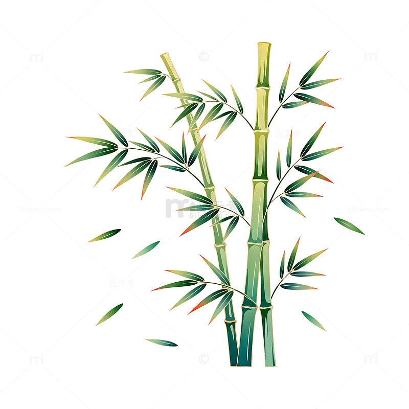 简约竹子插图