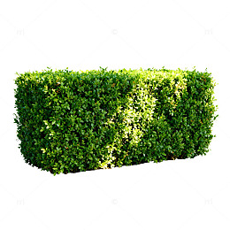 绿色植物墙景观绿化装饰素材