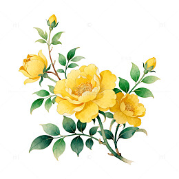 水彩黄玫瑰花卉插画