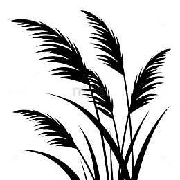 黑白剪影热带植物图案