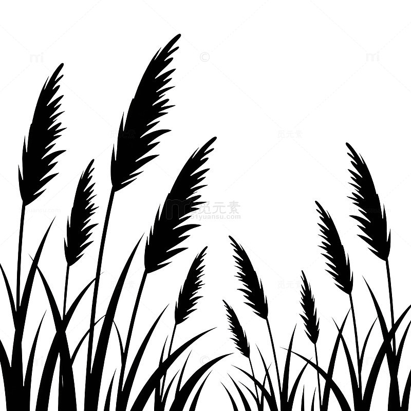 黑白芦苇剪影设计素材