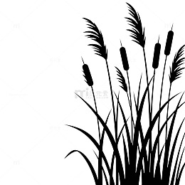 黑白芦苇剪影矢量图