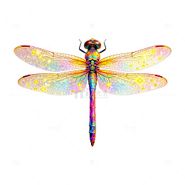 彩色梦幻蜻蜓艺术插画
