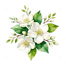 水彩花卉装饰画