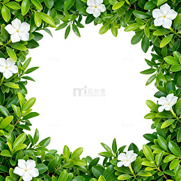绿叶白花边框装饰素材