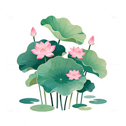 荷花插画素材
