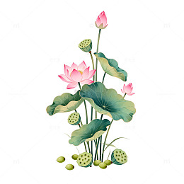 传统水墨荷花莲花图案设计元素