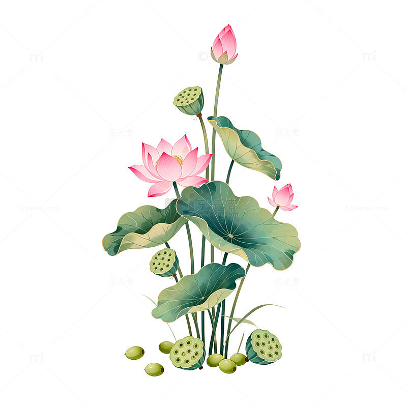传统水墨荷花莲花图案设计元素