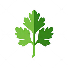绿色植物图标设计素材