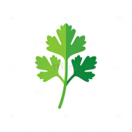 简约风绿色香菜图标设计元素