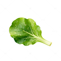 绿色蔬菜生鲜食材