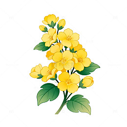 卡通风格黄色花朵插画