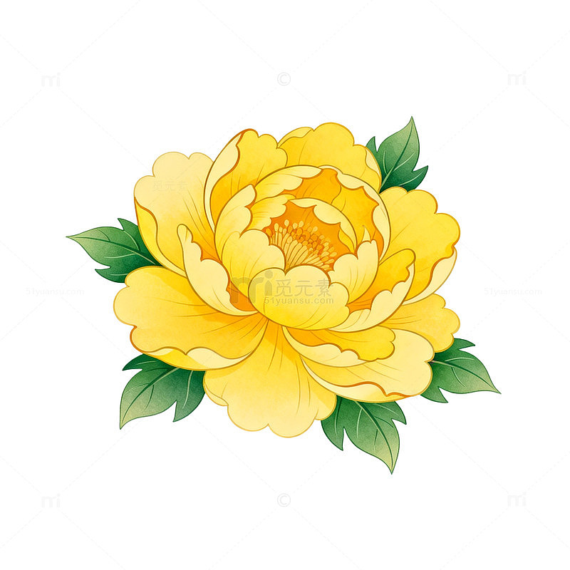 卡通牡丹花插画素材