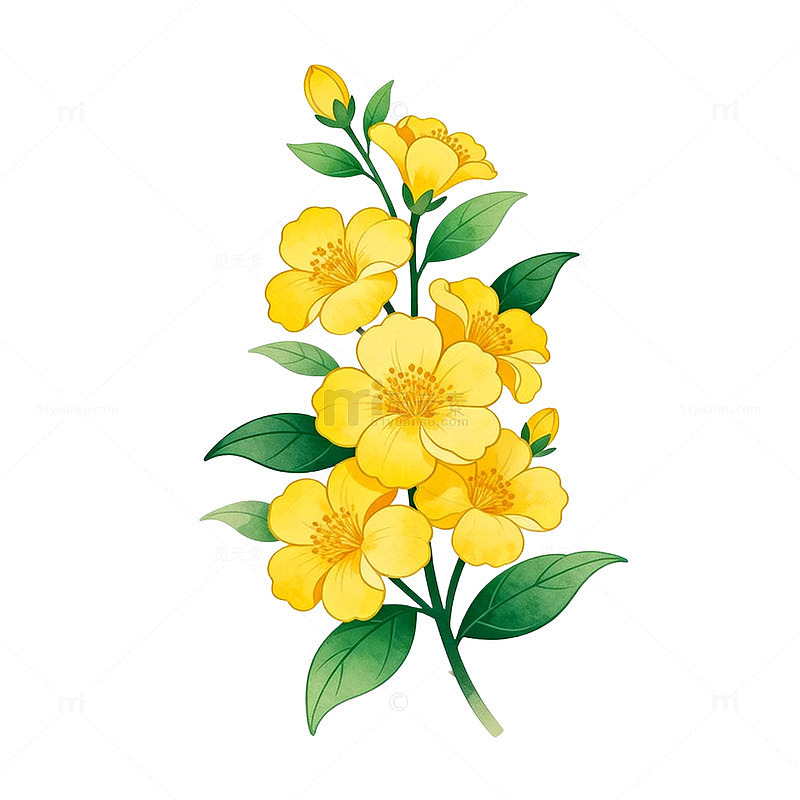 黄色花卉插画设计素材