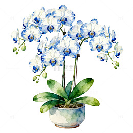 淡雅兰花盆栽水彩画