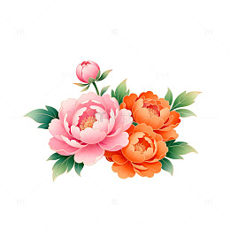 牡丹花插画设计素材