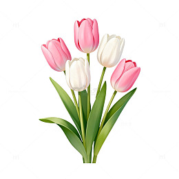 郁金香花卉插画素材