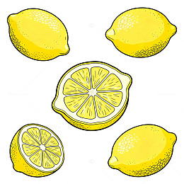 柠檬插画素材