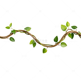 绿色藤蔓植物插画素材