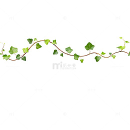 绿植藤蔓装饰图案