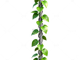 绿植藤蔓装饰素材