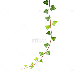 藤蔓植物绿意盎然