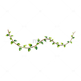 绿植藤蔓装饰插画