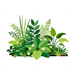 卡通植物插画设计素材
