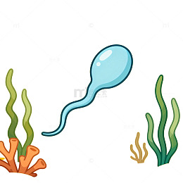 卡通海洋生物插画