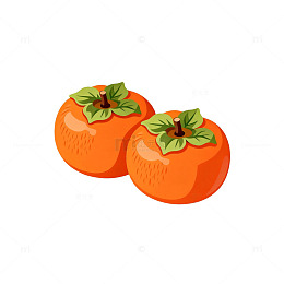 卡通风格柿子插画设计素材