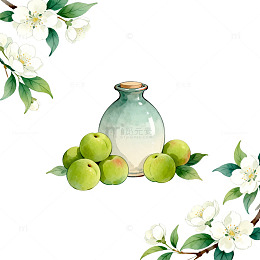 水彩青苹果花瓶插画