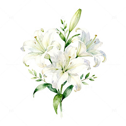 水彩百合花束插画设计元素