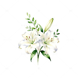 水彩百合花束插画设计素材