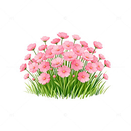 水彩风粉红花朵草地插画