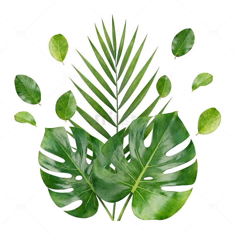 水彩热带植物装饰画设计素材