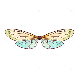 彩绘蜻蜓图案插画设计素材