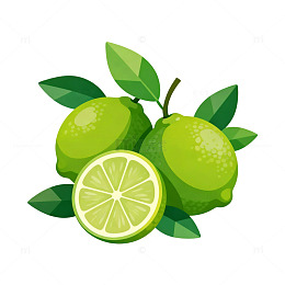 柠檬插画矢量素材