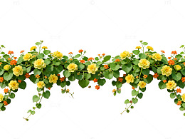 砖墙黄花植物装饰图